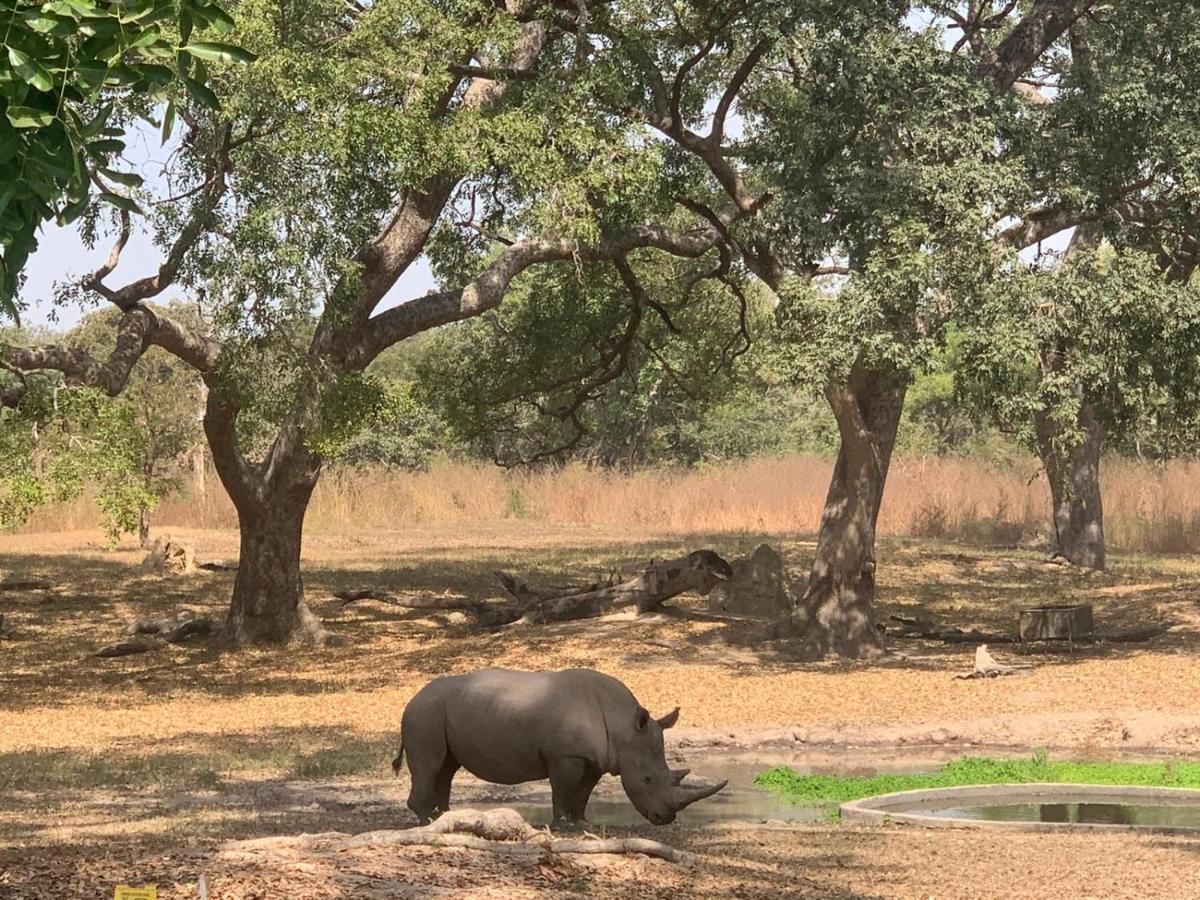 Vila Pombo Kunda Sanyang Exteriér fotografie